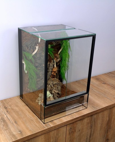 Glass terrarium paludarium - glass, terrarium,