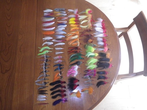 Saltwater fly fishing - fly, flies