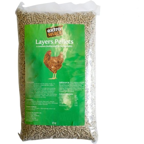 Free chicken feed layers - feed,