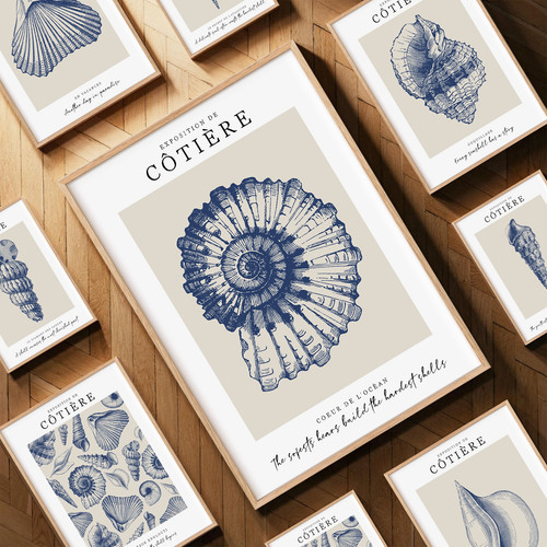 Travel beach seashell wall - beach, art