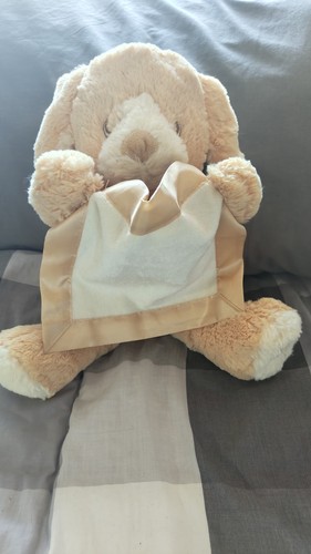 Peek boo puppy - boo, interactive