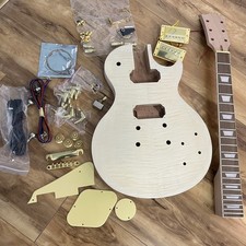Factory  DIY LP Electric