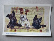 S007 Scotch & Wire Haired Terrier Puppies - Mabel Gear MINT Salmon Dog Postcard