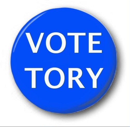 Vote tory 25mm button - tory,