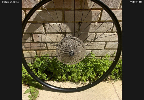 Rear wheel mountain - rear,
