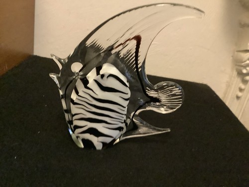 Glass fish - , fish,