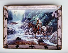 Franklin Mint American Indian