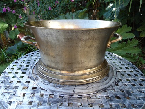 Champagne gold finish wine - gold,