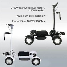 Golf-Ride Scooter | GRE M12-3