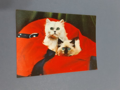 Vintage german lenticular - vintage,