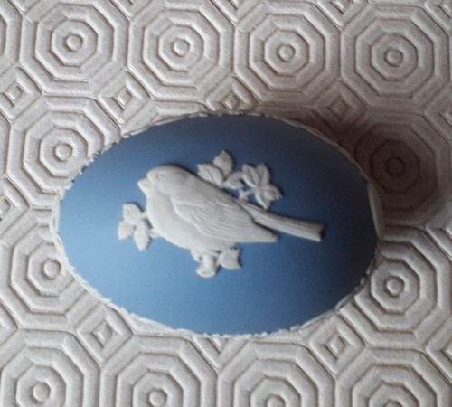 Wedgwood blue jasper finch - wedgwood,