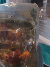 Disney the Lion King Deluxe