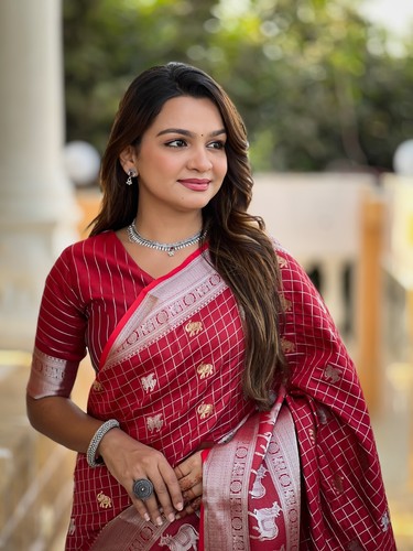 Party wear saree - party, blouse