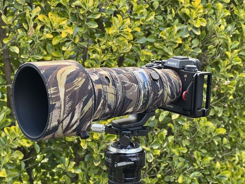 Sigma 500mm dg dn - 500mm, f5.6