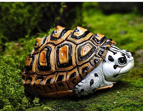 Super diamondback terrapin - q,