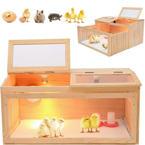 Chicken brooder box sturdy - brooder,