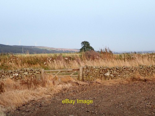 Photo 12x8 site longovicium - photo, of