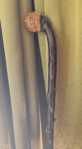 Antique walking stick cane - stick,