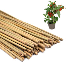 50PCS Plant Stakes,16 Inch