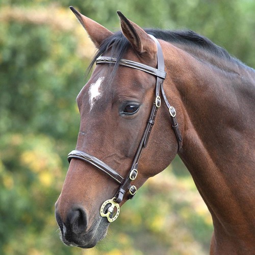 Shires velociti gara - velociti, fancy