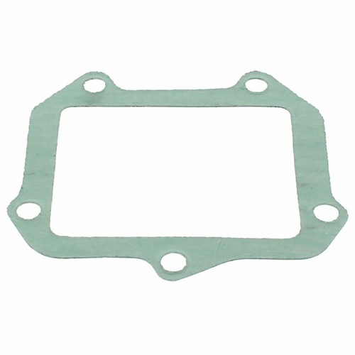 S410010010002 gasket intake - gasket,