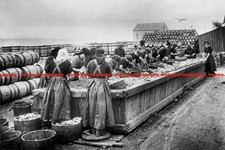 F014061 Herring Gutters Wick