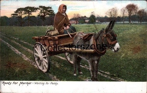 1907 donkey cart ready for - donkey,