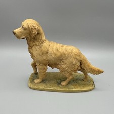 Border Fine Arts Golden