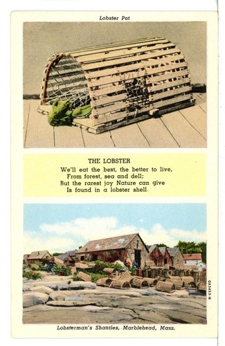 Lobster pot and lobsterman - lobster,