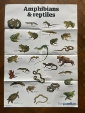 The Guardian wall chart