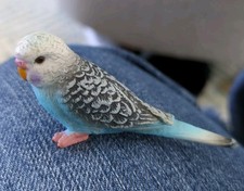 Schleich 14409 - Blue Budgie /