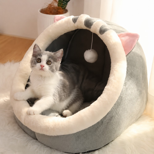 Cute soft cat house warm - cat,