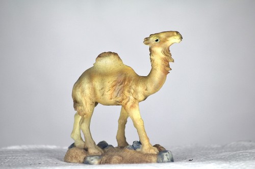 Camel model great gift - model,