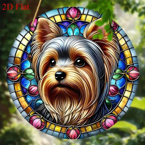 Yorkshire terrier dog round - terrier,