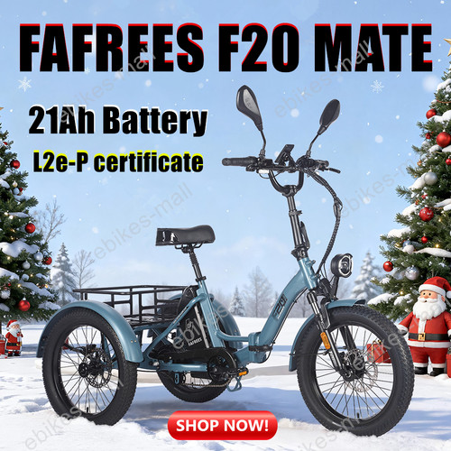 Heavy duty electric trike - heavy-duty,