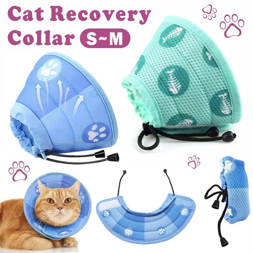 Cat recovery collar soft - collar, cone