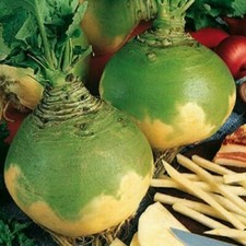 10x Swede Wilhelmsburger Plug