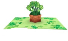 Irish Clover 3D Pop-Up Card