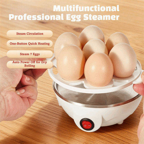 Stainless steel electric egg - stainless,