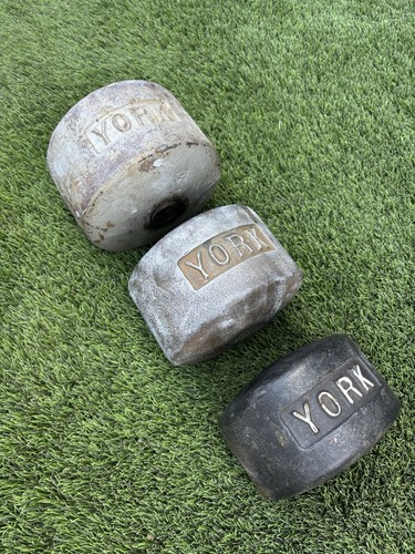 York roundhead dumbbell blobs - york,