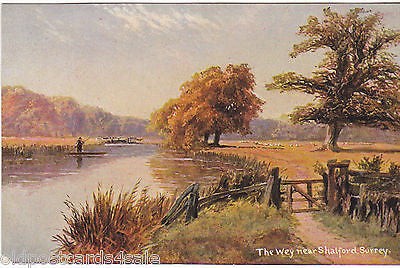 The wey near - shalford,, surrey