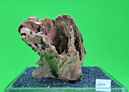 Corbo root cbs9 cave aquarium - cave,