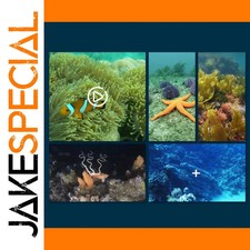 JakeSpecial - Black Underwater