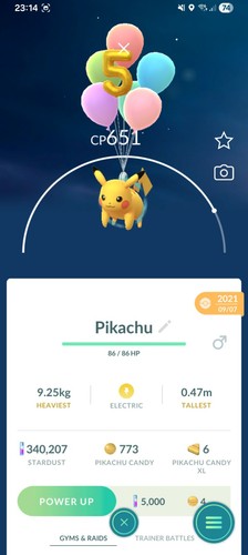 Pikachu pokemon year - pokemon, 5