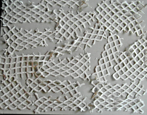 Nottingham lace heavy guipure