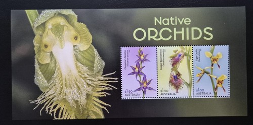 Australia 2025 flowers - /,