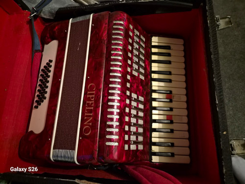 Cipelino small piano - small, accordion