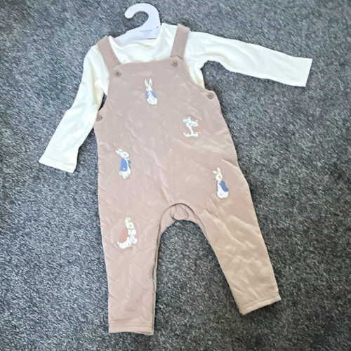 Peter rabbit 2pc outfit set - outfit,