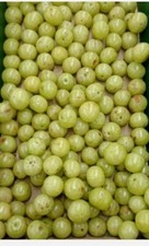 Fresh Amla Gooseberry 1 kg