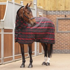 Shires Tempest Plus 200g